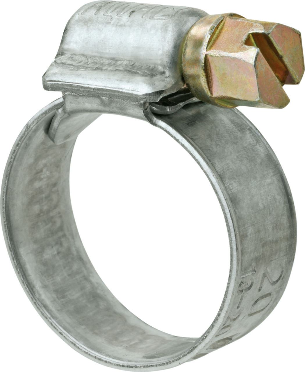 Schneckengewindeschelle Schneckengewindeschelle