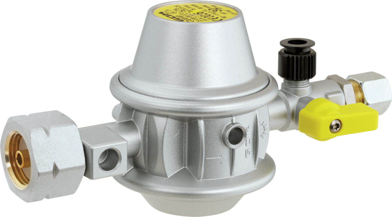 Low pressure regulator type EN61-DS Low pressure regulator type EN61-DS