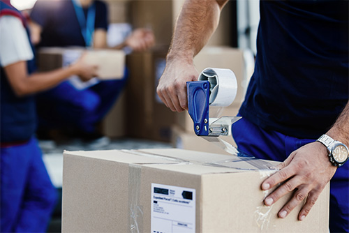 Versandmitarbeiter (m/w/d) 