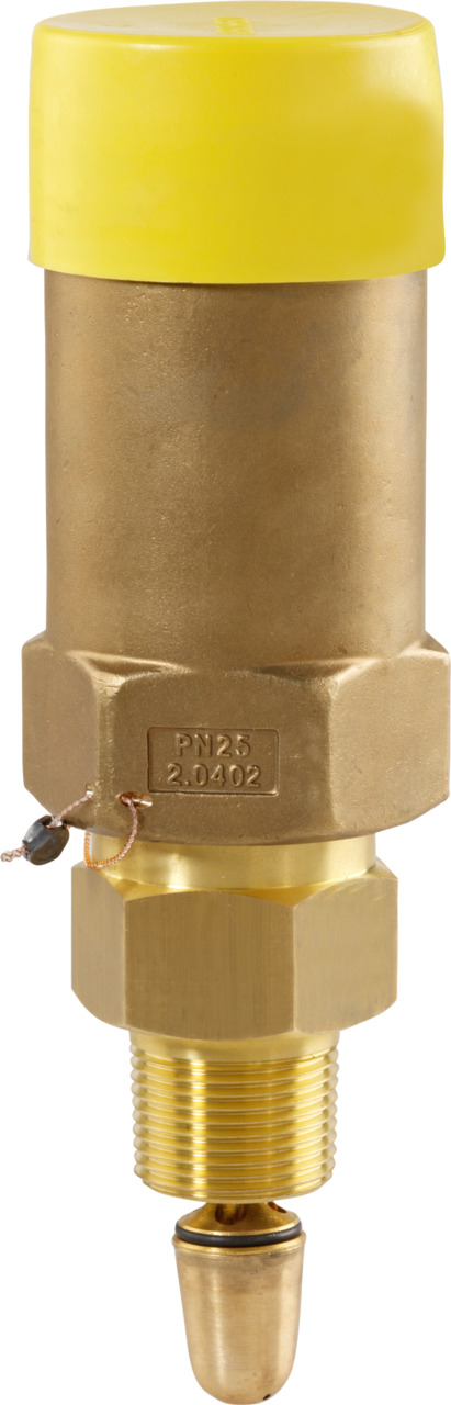 Austausch-Sicherheitsventil Typ ATSV-A5005 Austausch-Sicherheitsventil Typ ATSV-A5005