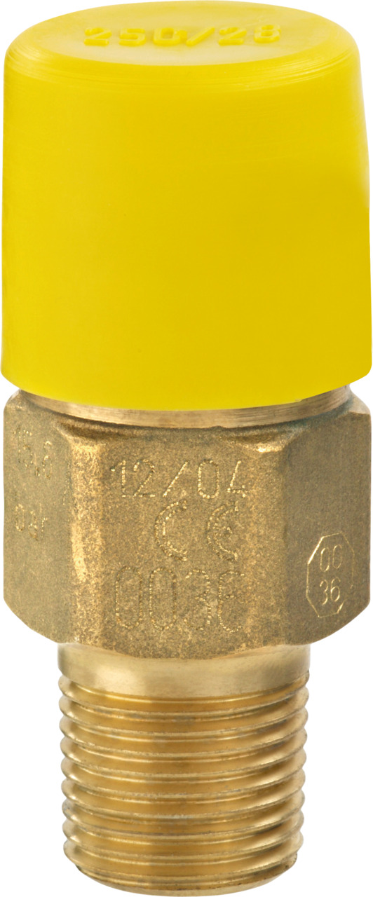 Sicherheitsventil Sicherheitsventil